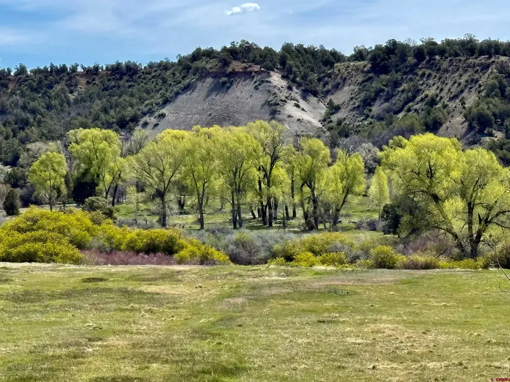 769 & 784 Bareback Lane, Durango