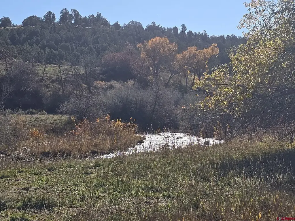 1308 Wrangler Way, Durango