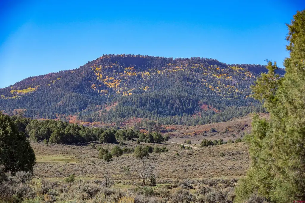 X Tall Pines Place, Pagosa Springs