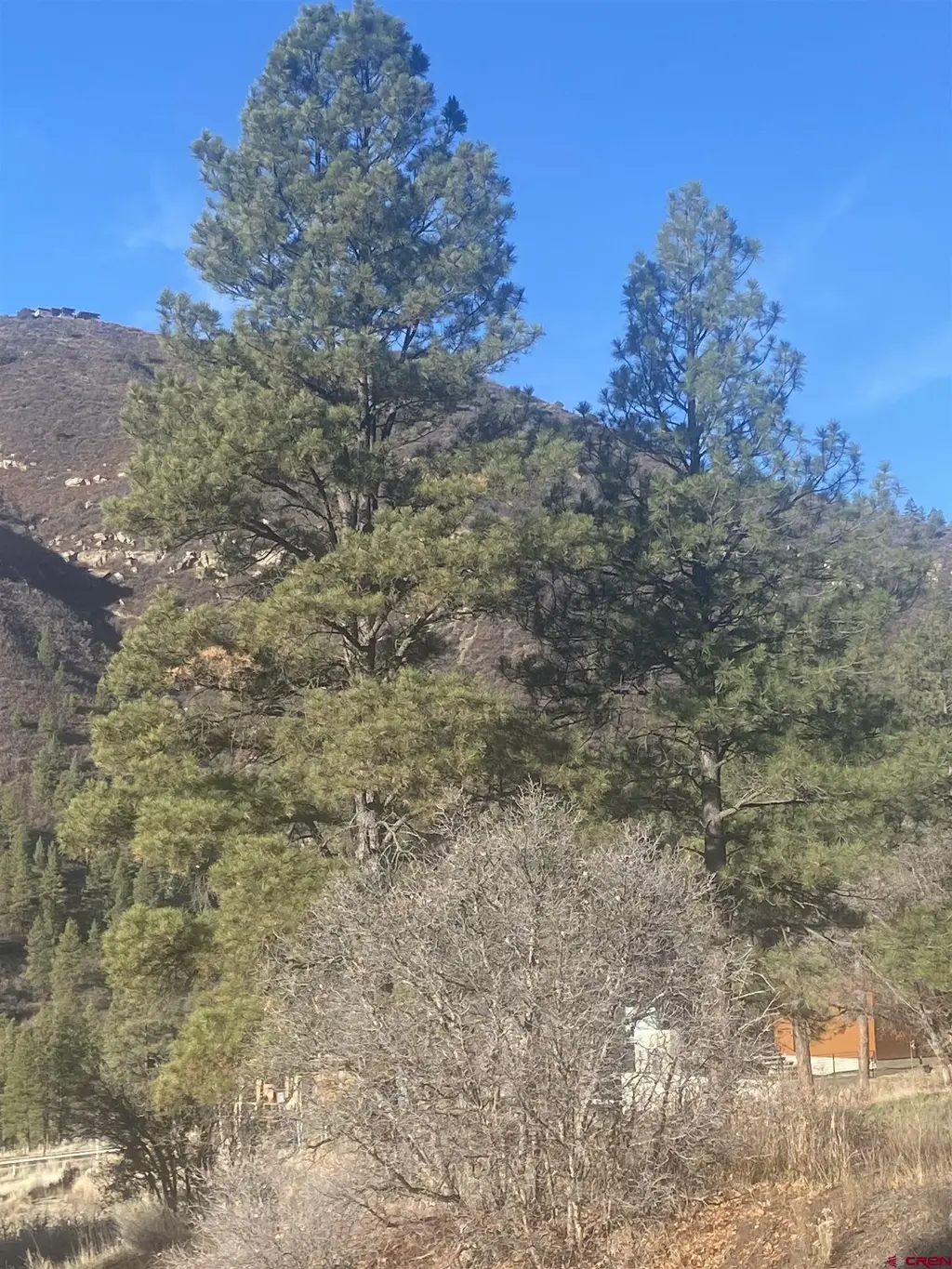 57 Wild Iris, Durango