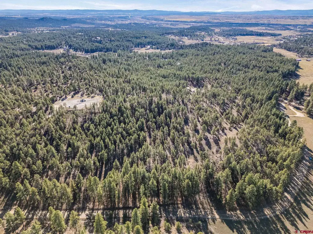 5561 County Road 228, Durango
