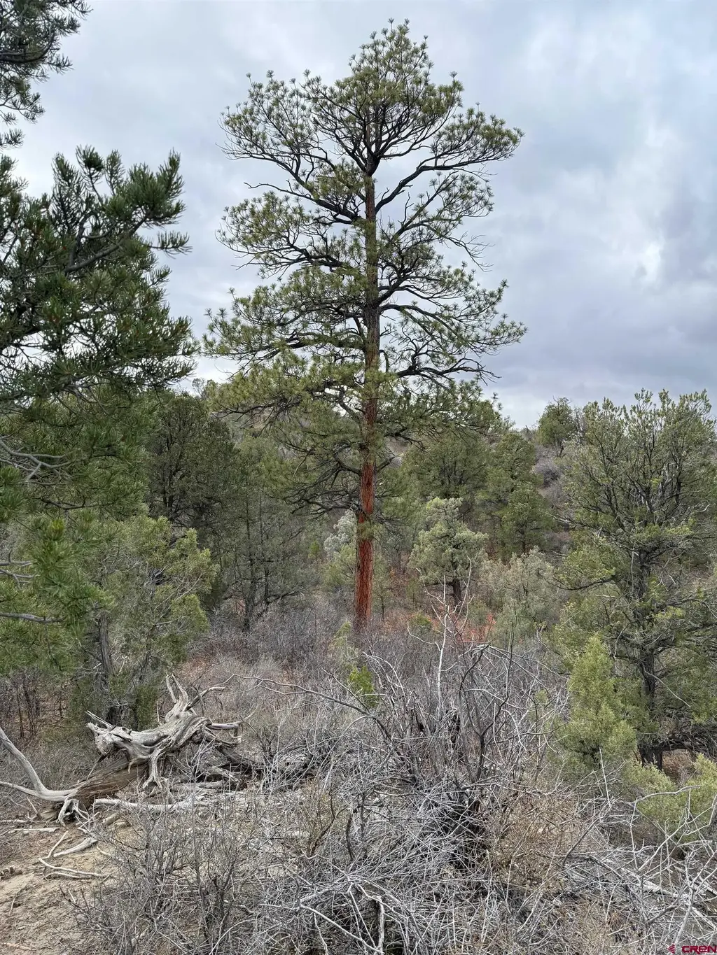1479 La Posta Canyon Road, Durango