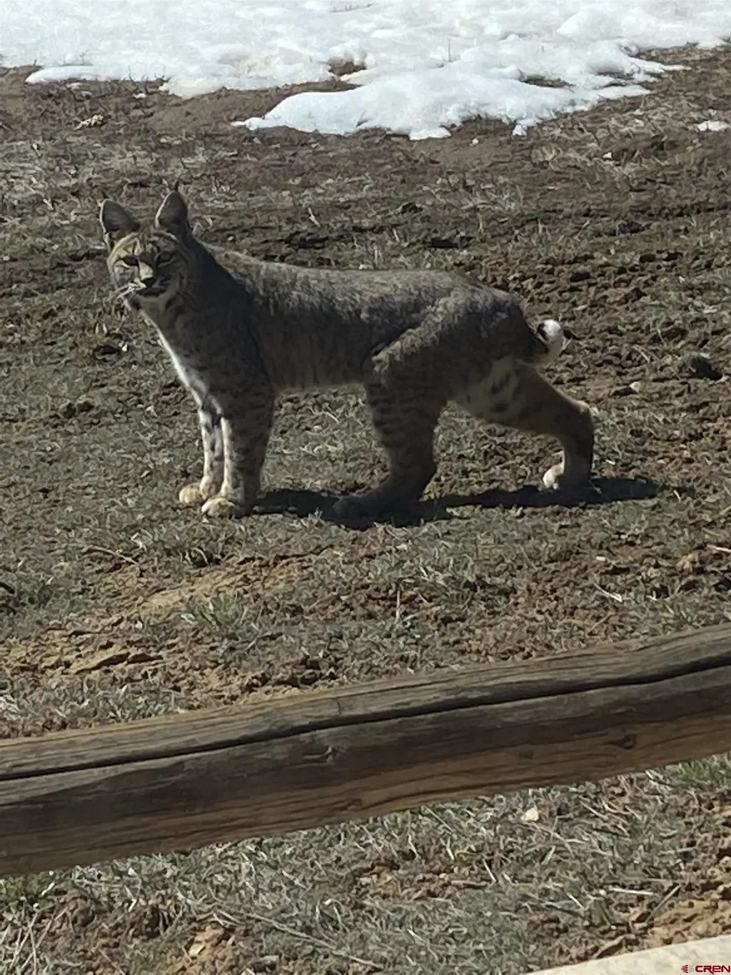 219 S Cougar, Pagosa Springs