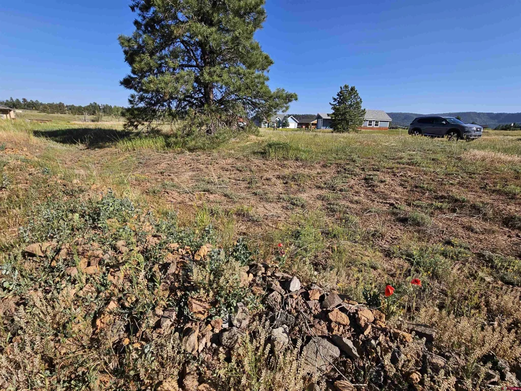 33 Paradise Drive, Pagosa Springs