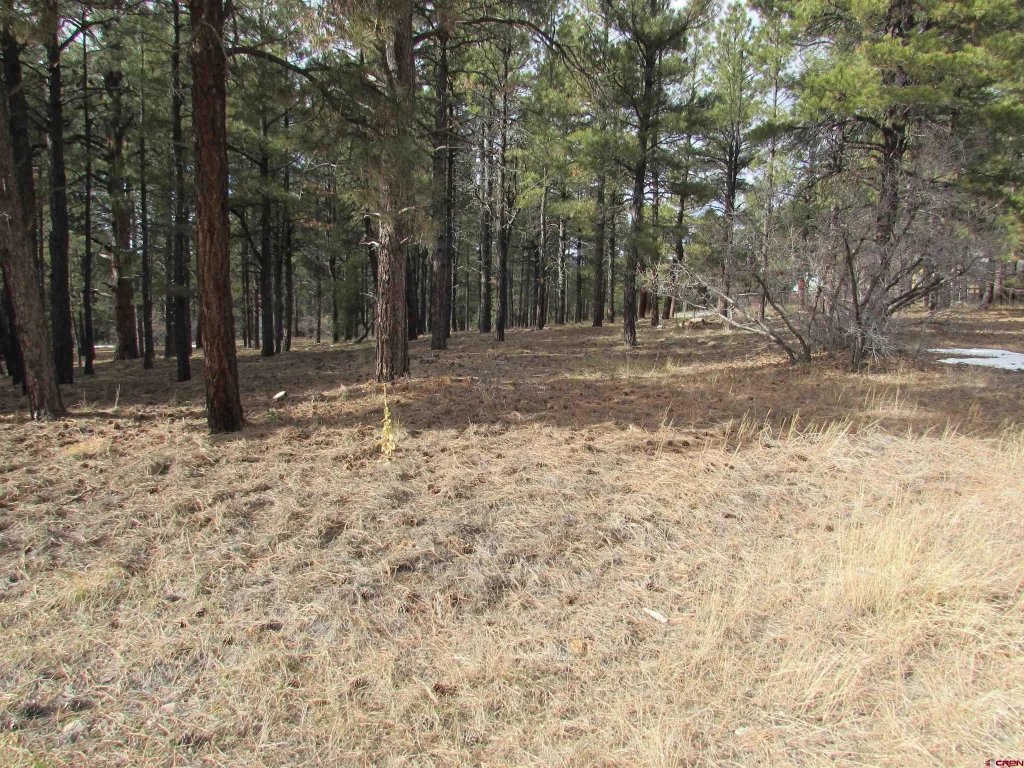 424 Antelope Avenue, Pagosa Springs