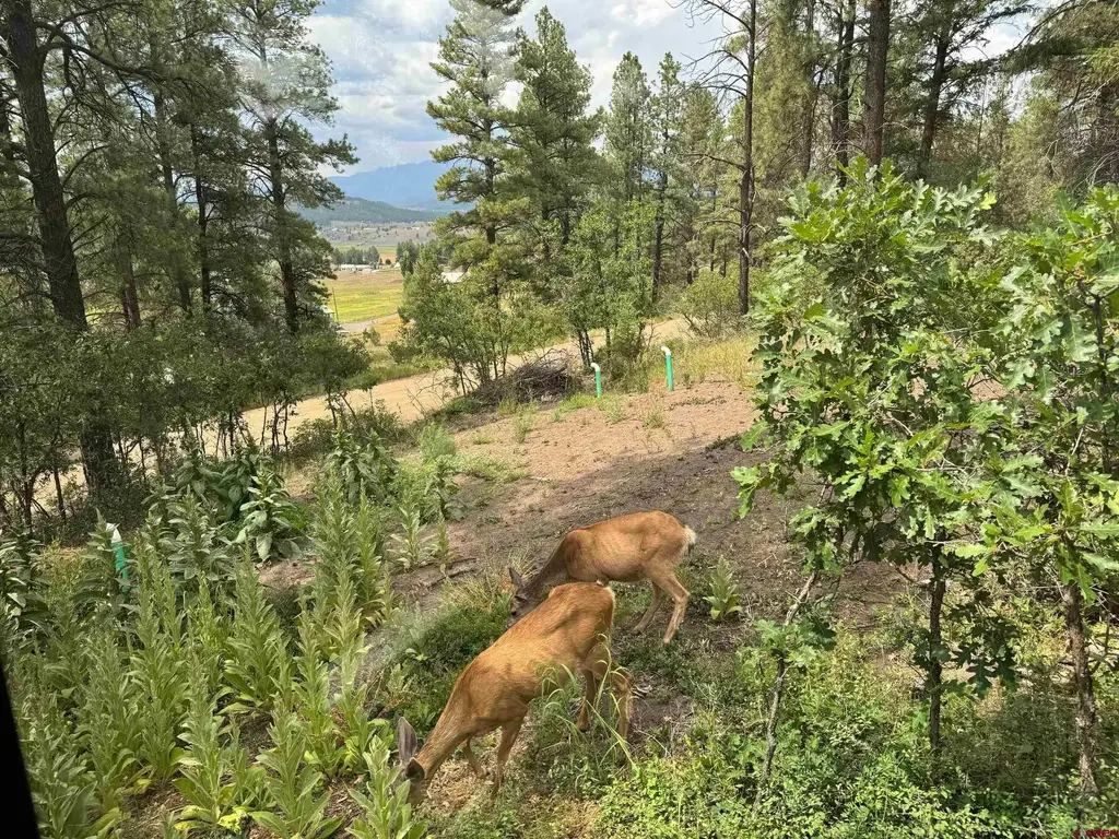 599 Pineview Road, Pagosa Springs