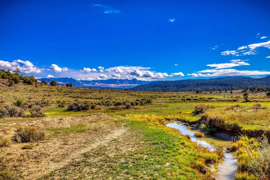 X Tall Pines Place, Pagosa Springs