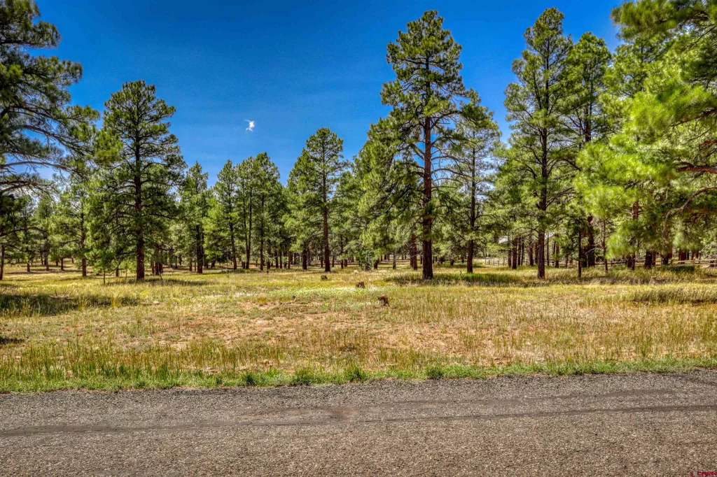 86 Hackamore Place, Pagosa Springs