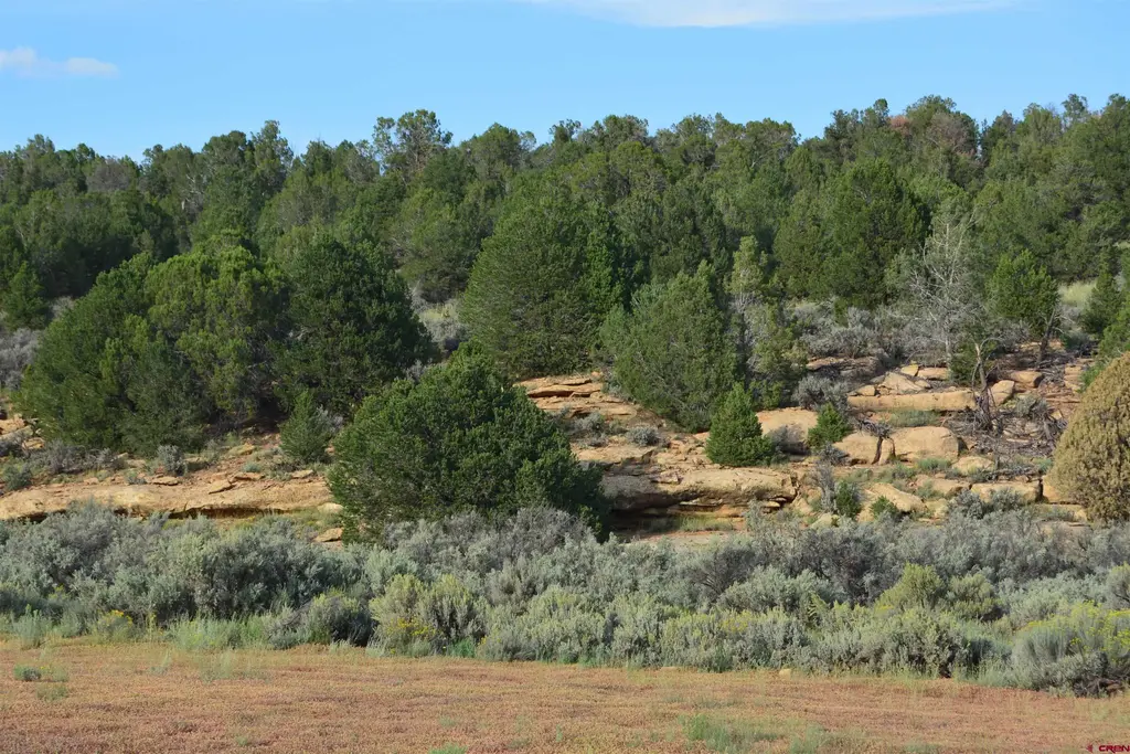 Tbd County Road 109, Hesperus