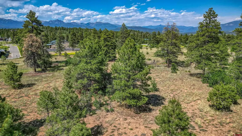 1343b Wheeler Place, Pagosa Springs