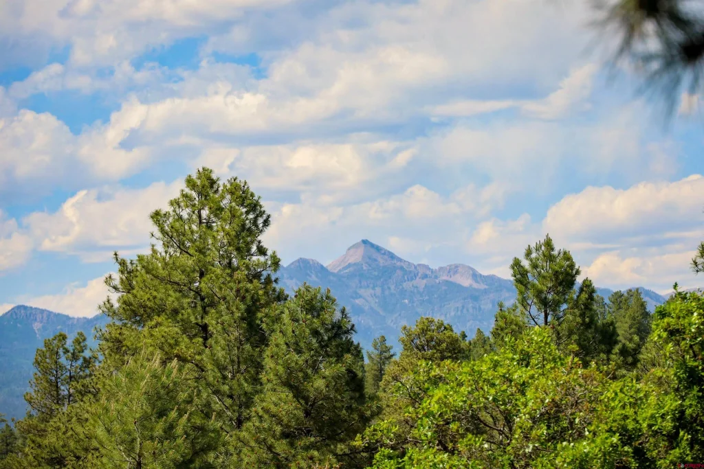 1343b Wheeler Place, Pagosa Springs