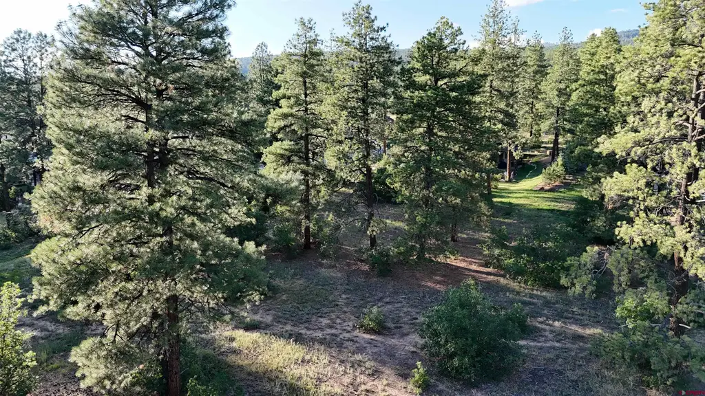 91 Engine Creek Court, Durango