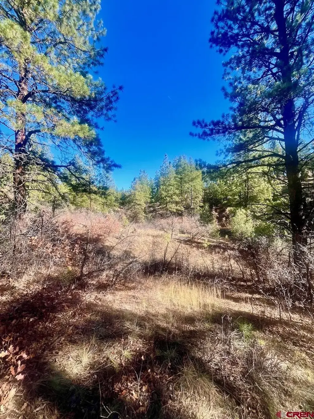 152 Lane Drive, Durango