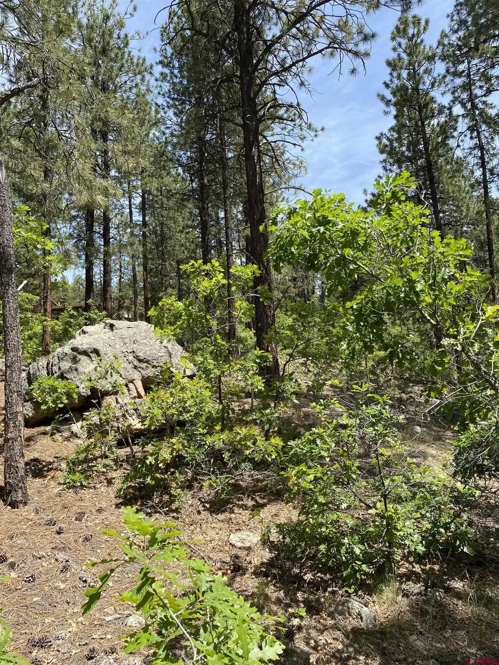 163 Boulder View Drive, Durango