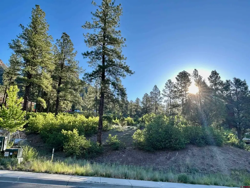 24 Bell Flower Court, Durango