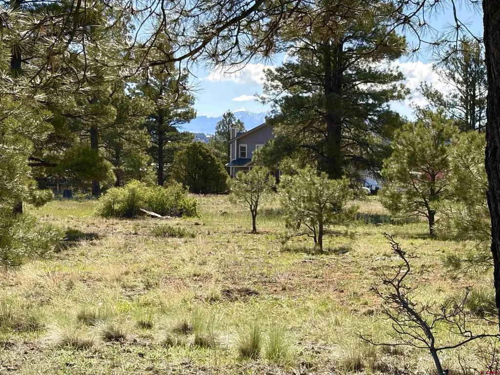 1052 Trails Boulevard, Pagosa Springs