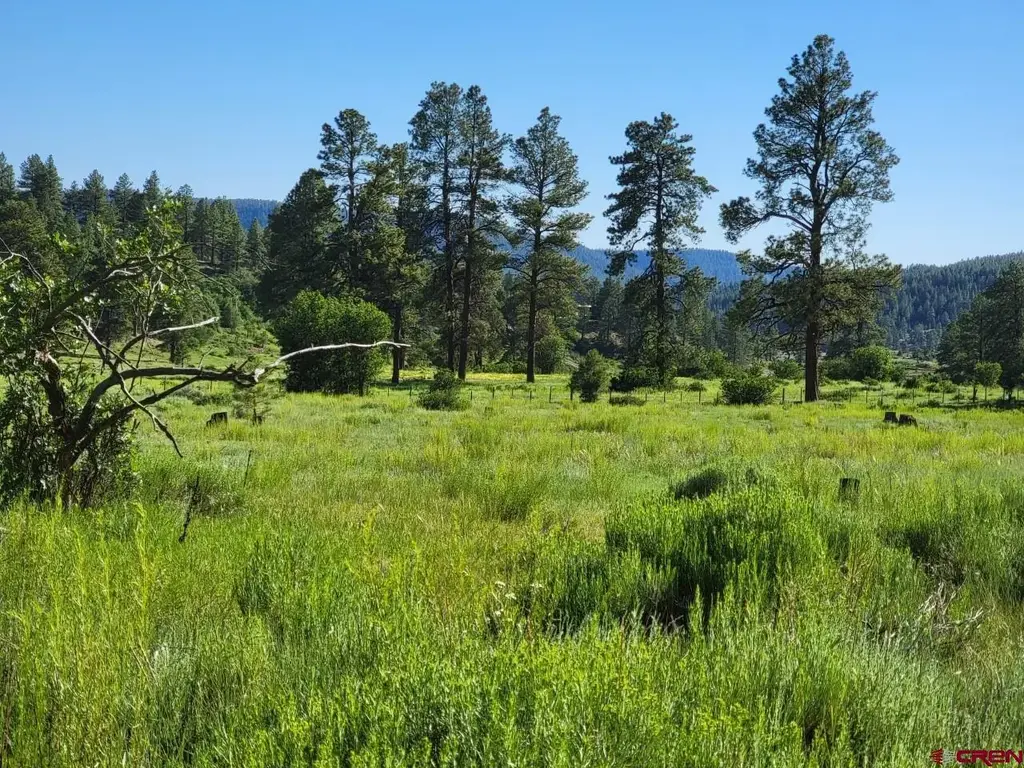 X Catchpole Drive, Pagosa Springs