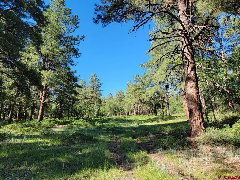 X Catchpole Drive, Pagosa Springs