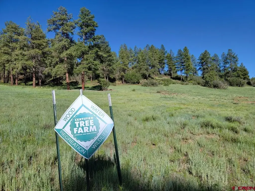 X Catchpole Drive, Pagosa Springs