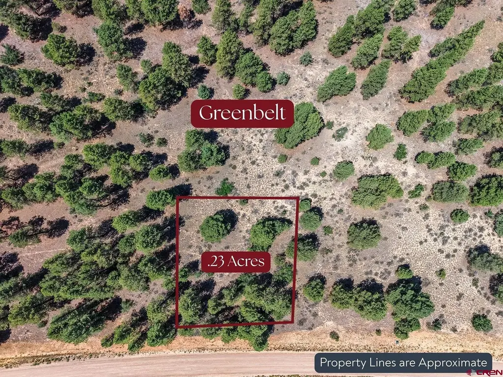 1445 Trails Boulevard, Pagosa Springs