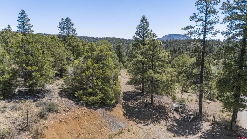 275 Logging Trail Road, Durango
