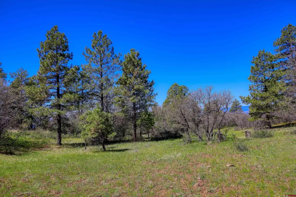 3367 Ranchland Drive, Pagosa Springs