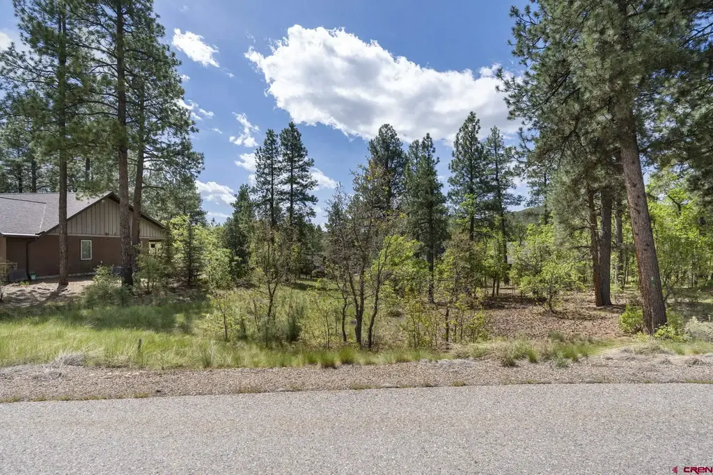47 Needle Creek Court, Durango