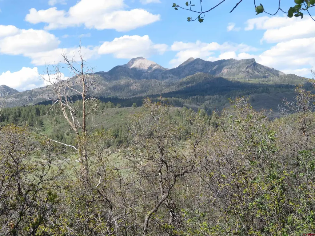 1000 Perry Dr., Pagosa Springs