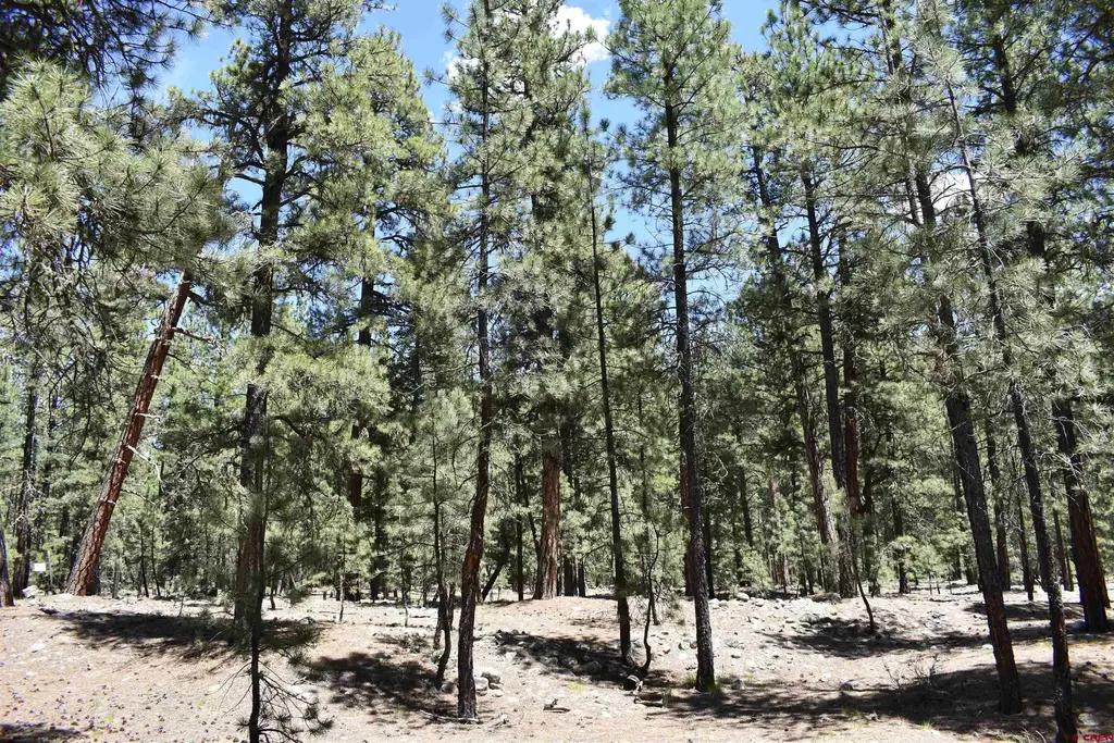 80 Ranch Road, Vallecito Lake/Bayfield