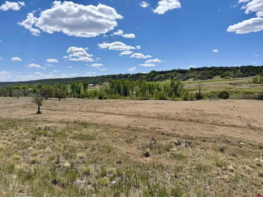 1366 Wrangler Way, Durango