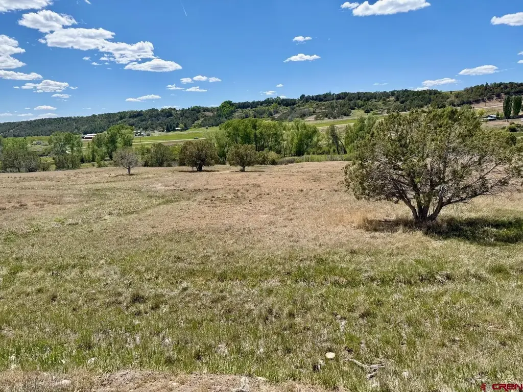 1424 Wrangler Way, Durango