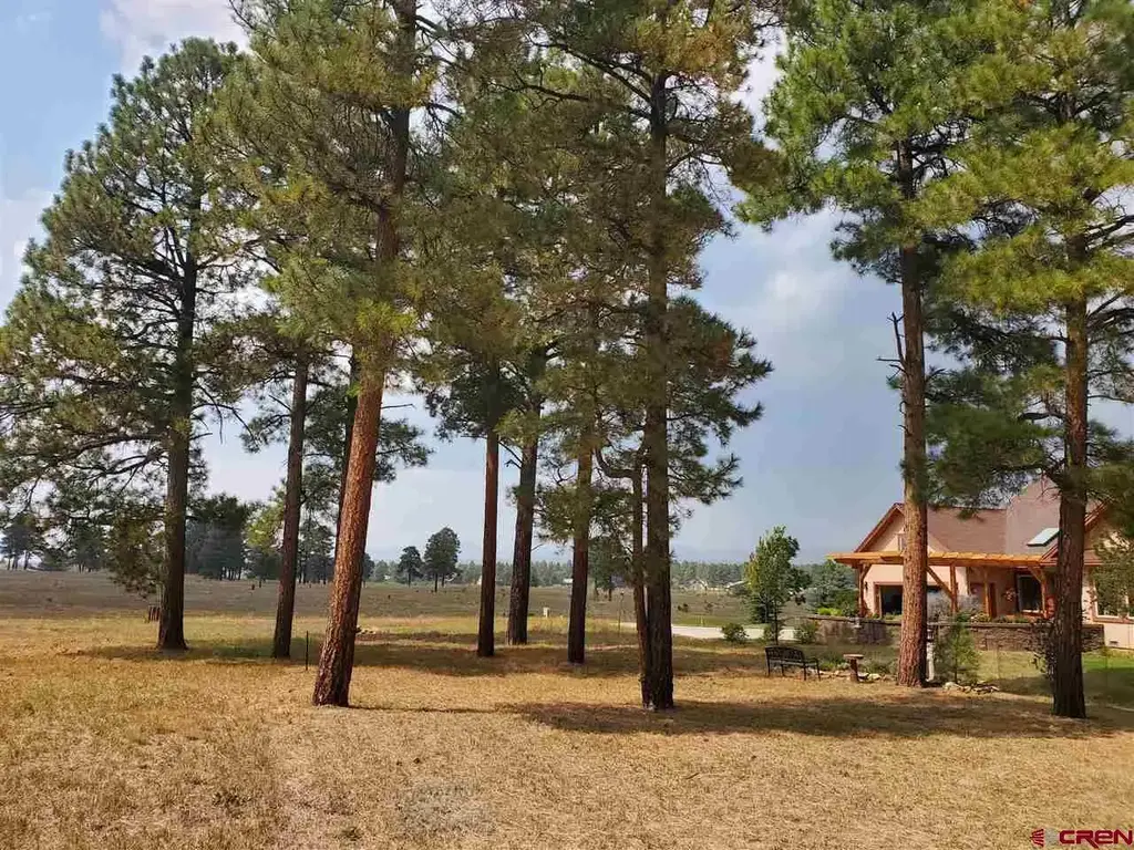 69 Capstone Circle, Pagosa Springs