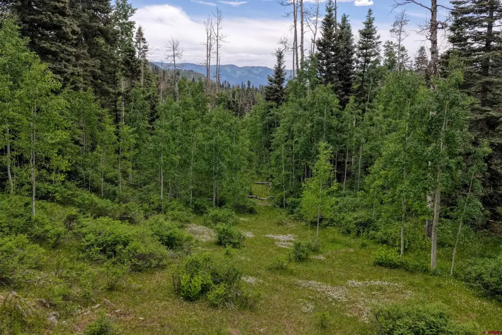 4556 Middle Mountain Road, Vallecito Lake/Bayfield