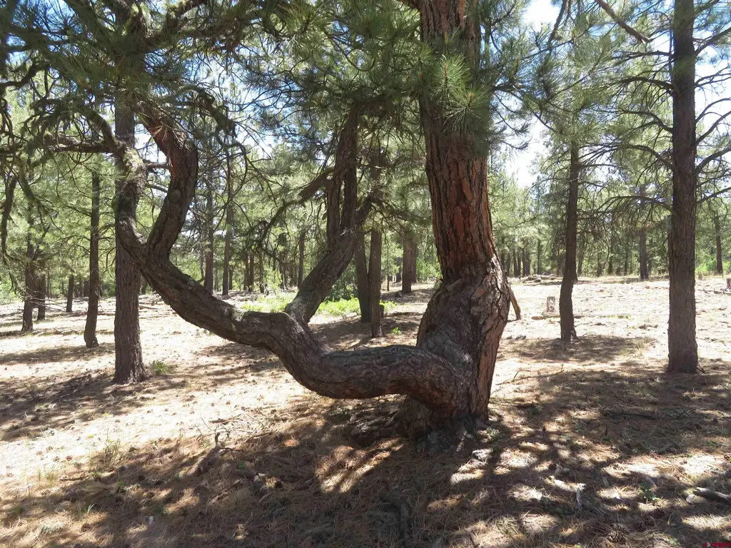 500 Coronado Circle, Pagosa Springs