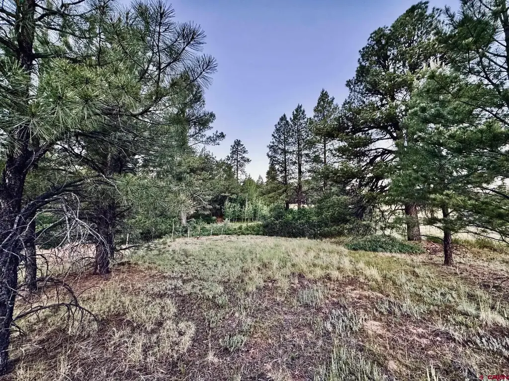 3898 N Pagosa Boulevard, Pagosa Springs