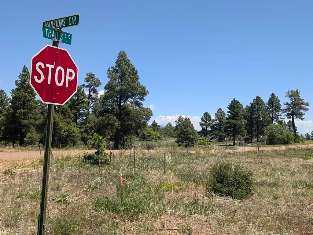 16 Mansions Circle, Pagosa Springs