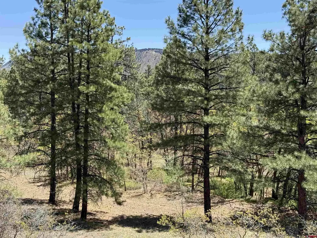 Tbd Ventana Pass, Durango