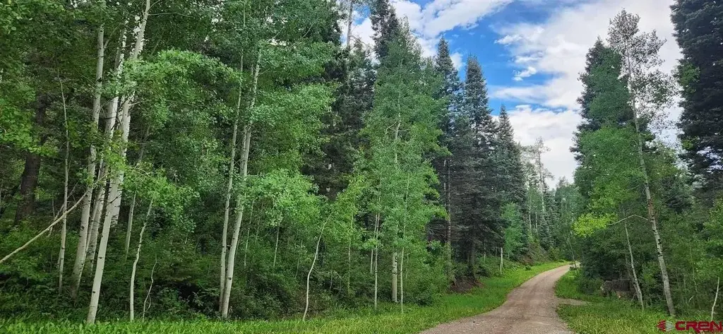 454 Mccoy Creek, Durango