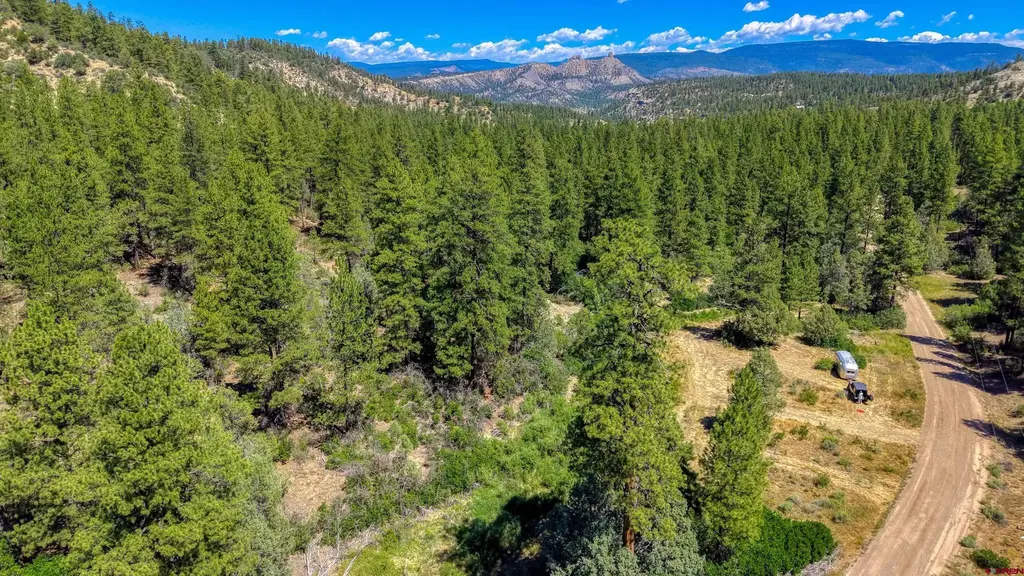 1859 County Road 917, Pagosa Springs