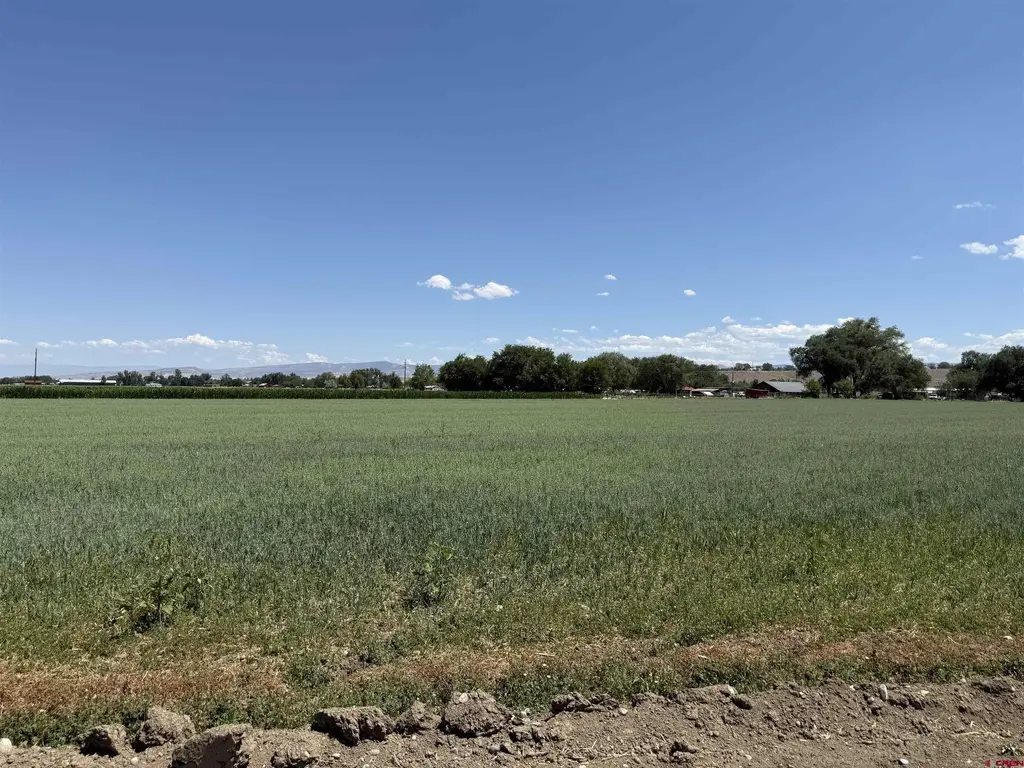 Tbd Orange Rd And 6400 Rd, Montrose