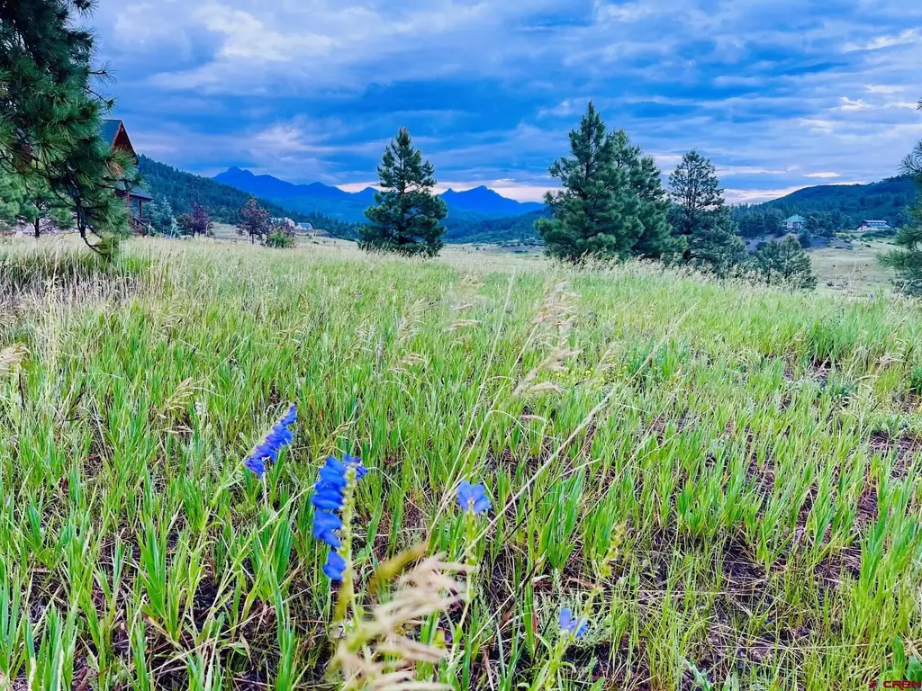 119 La Ventana Pl, Pagosa Springs