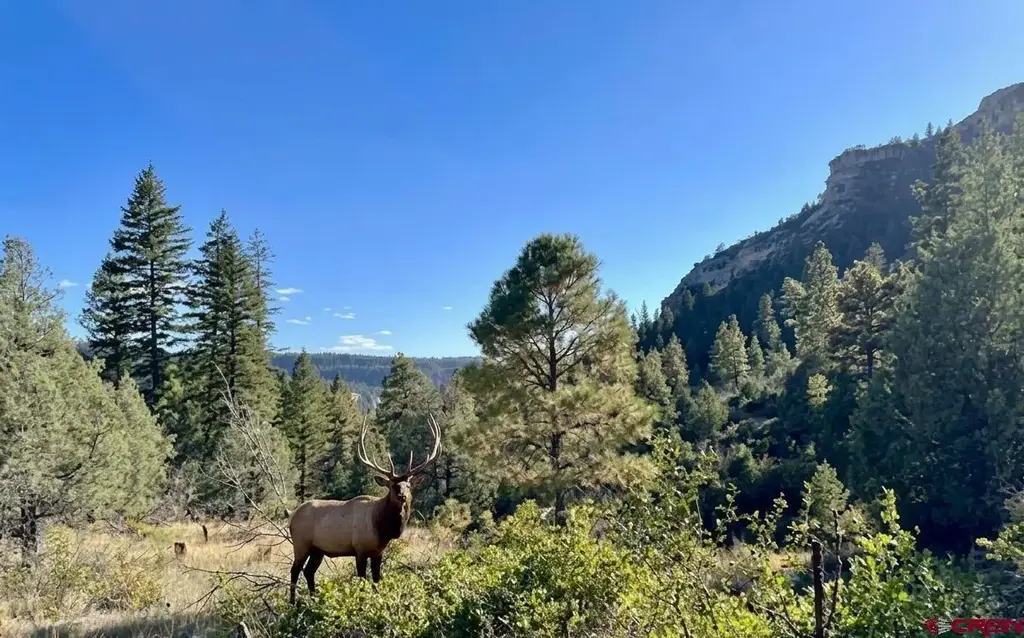 16400 County Road 500, Pagosa Springs