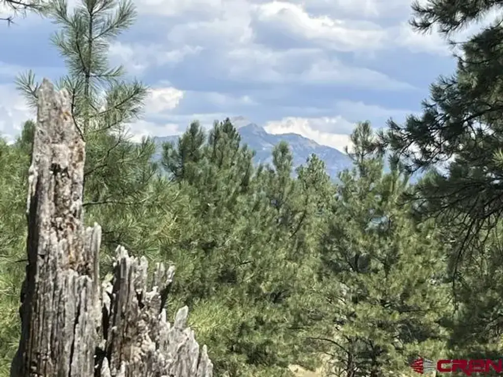 X County Road 600 A, Pagosa Springs