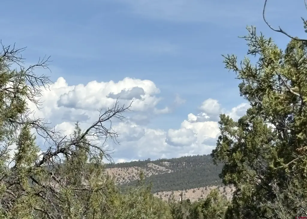 150 Deer Park, Arboles