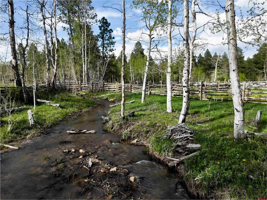 44500 Ditches Road, Mancos