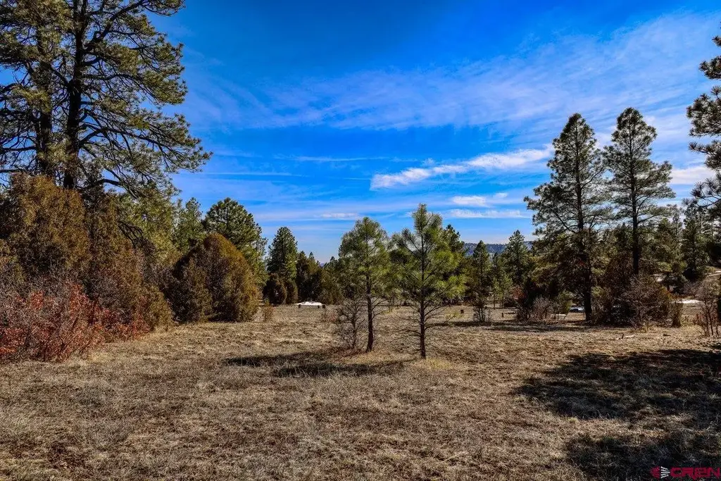 829 Buttress Avenue, Pagosa Springs