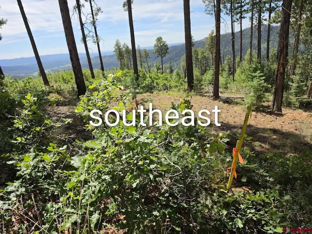 1621 Rosalie Drive, Durango