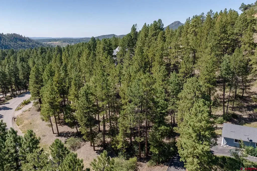 398 Iron King, Durango