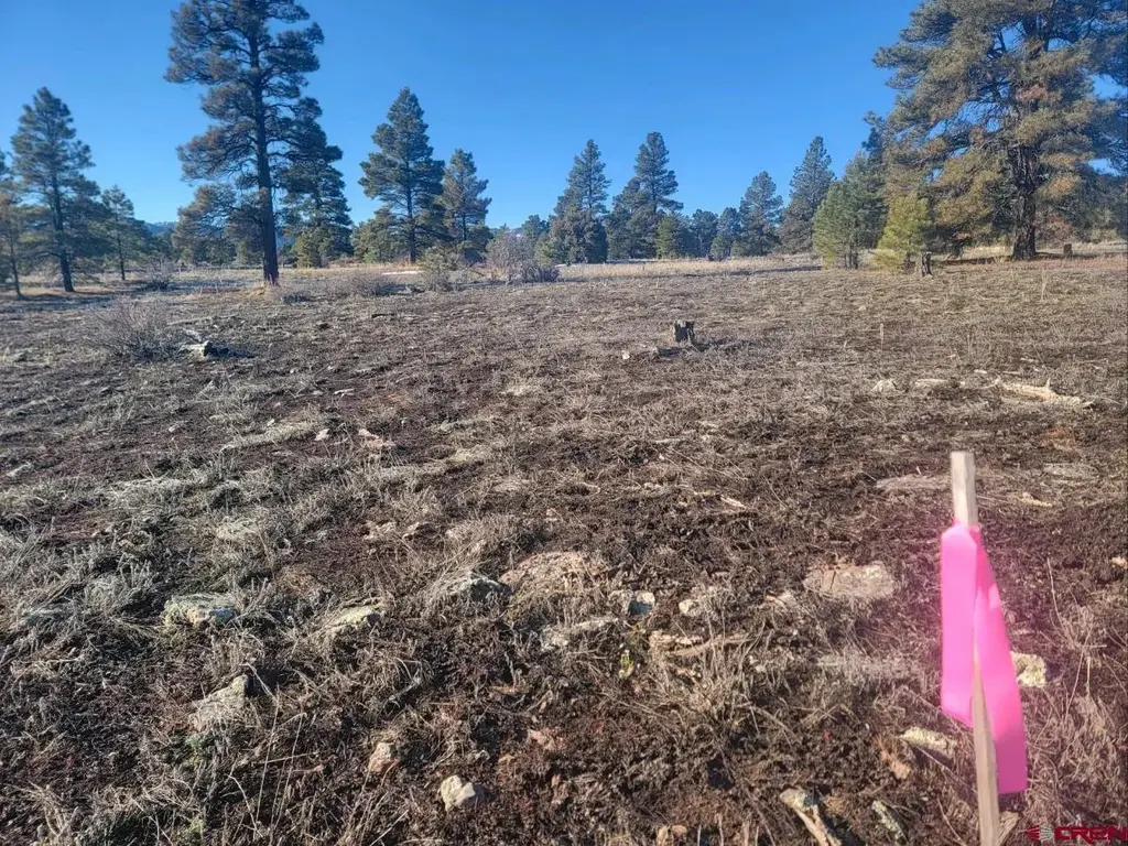 660 Trails Boulevard, Pagosa Springs