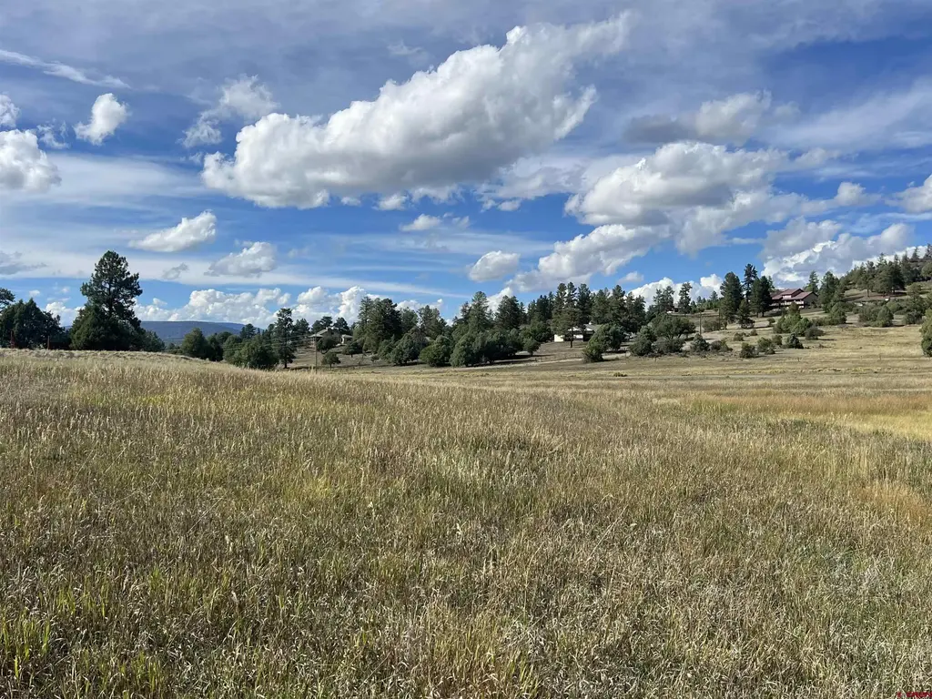 1361 Hersch Avenue, Pagosa Springs